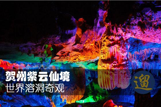 盐焗蟹怎么做?-有问必答平台