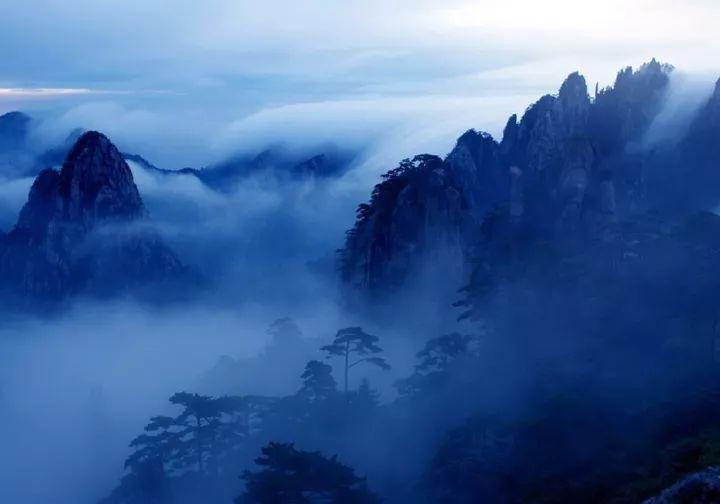 探秘牛尾汤最正宗的做法?,一站式冷知识分享平台