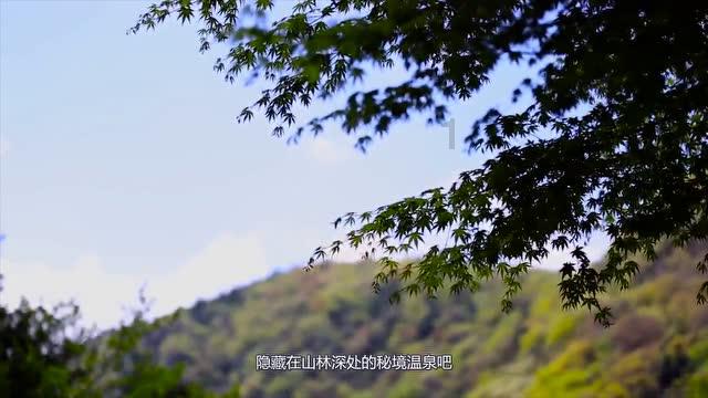 同色彩相撞