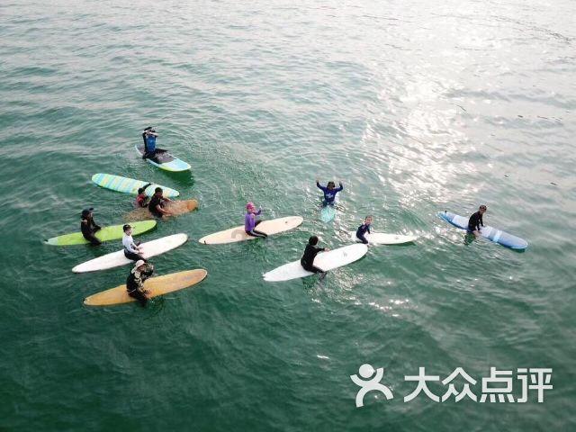 饿狮救援