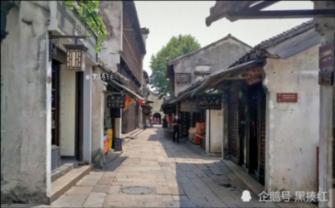 天津援青搭建新消费场景 河南县优牧产品推介专场亮相年货节掀人气